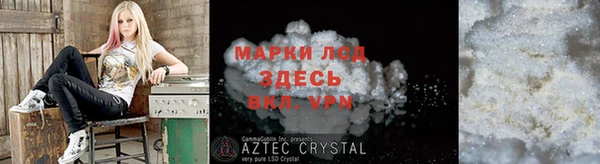 индика Беломорск