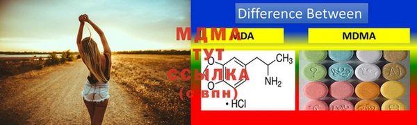 индика Беломорск