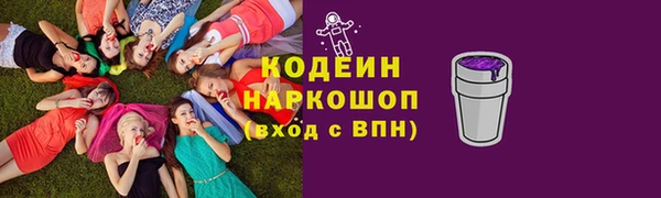 индика Беломорск