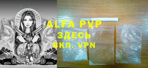 индика Беломорск