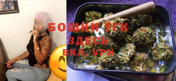 индика Беломорск