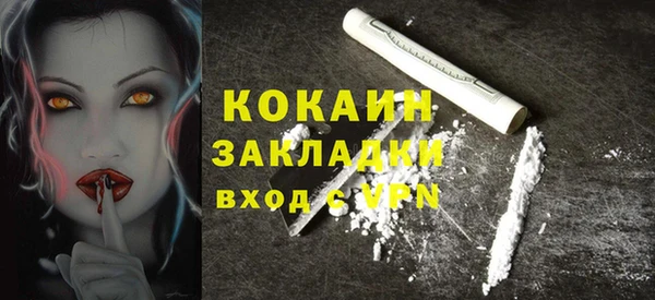 индика Беломорск
