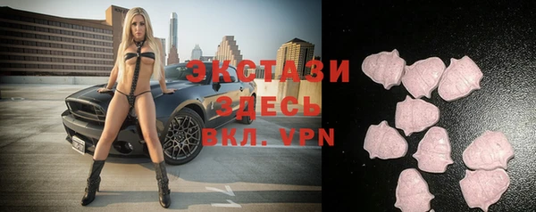 индика Беломорск