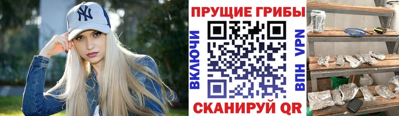 закладки  Пыть-Ях  МЕГА tor  Псилоцибиновые грибы Magic Shrooms 